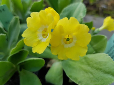 20180418_065828.jpg