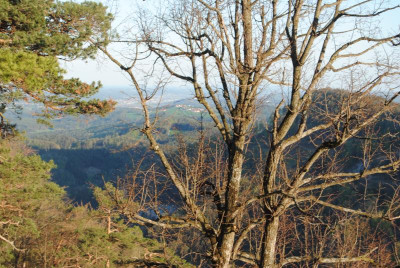 DSC_0135.JPG