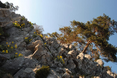 DSC_0123.JPG