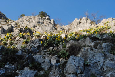 DSC_0088.JPG