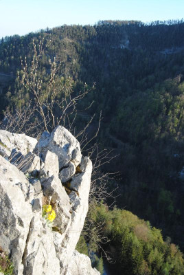 DSC_0124 - Kopie.JPG