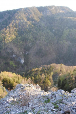 DSC_0134.JPG