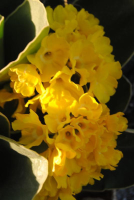 DSC_0128.JPG