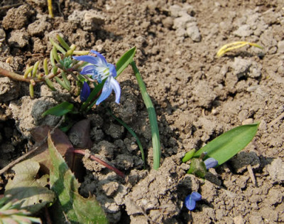 Blaustern_S2_0216_78.jpg