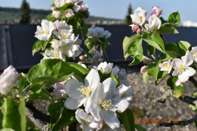 April 18 011.JPG