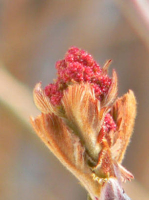 P1090279k.JPG