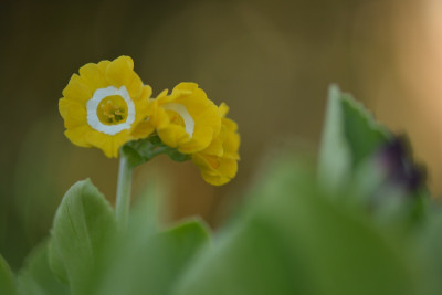 DSC_5921.jpg