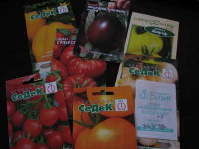 Tomatensamen_1.jpg