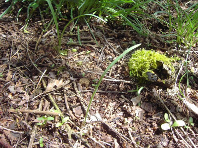 PICT2025.JPG