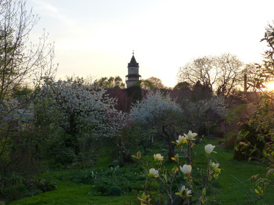 2018-04-20 Garteneinblick 2.jpg
