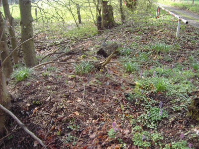 PICT2005.JPG