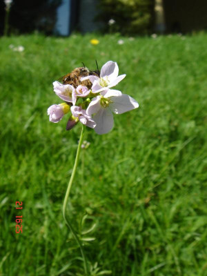 DSC05236.JPG