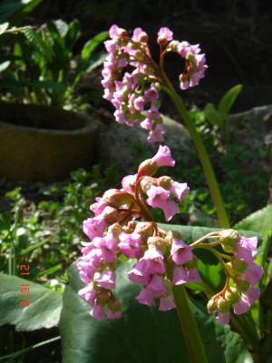 DSC05233.JPG