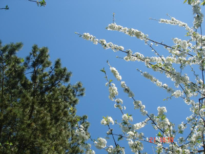 DSC05231.JPG