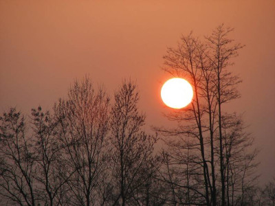SUNSET_II_DO_1503.jpg