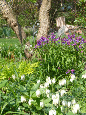 2018-04-21 Gartenimpressionen 1.jpg
