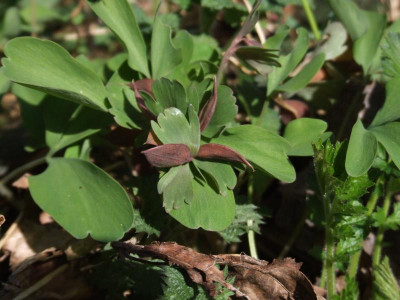 DSCF5173.JPG