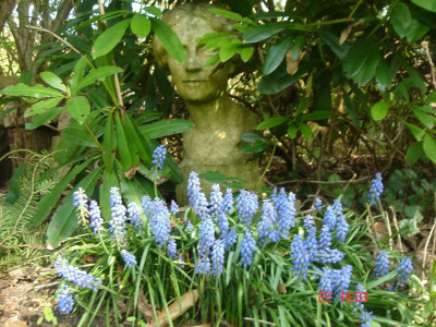 DSC05244.JPG