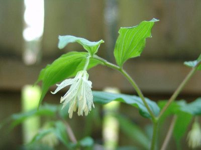 DSC02104.JPG