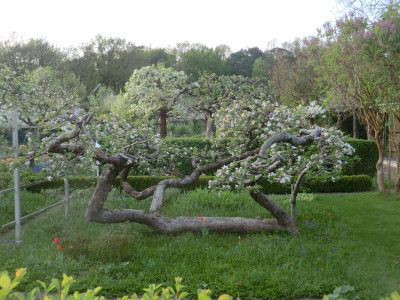 CIMG0517.JPG