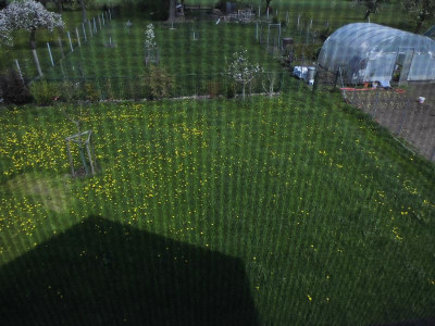 DSCI0348.JPG