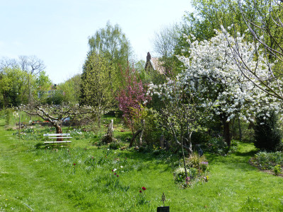 2018-04-22 Garteneinblick 4.jpg