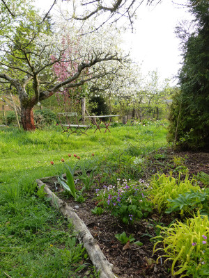 2018-04-22 Garteneinblick 5.jpg