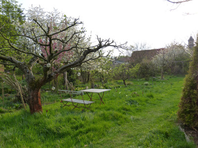 2018-04-22 Garteneinblick 6.jpg