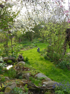 2018-04-22 Gartenimpressionen 5.jpg
