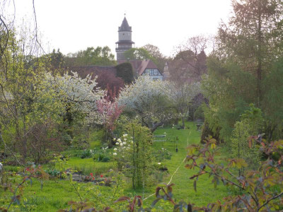 2018-04-22 Gartenimpressionen 6.jpg