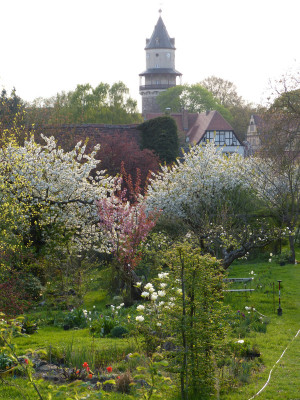 2018-04-22 Gartenimpressionen 8.jpg