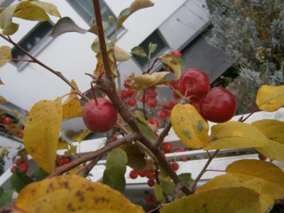 GH Evereste 001.JPG