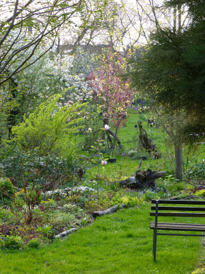 2018-04-22 Gartenimpressionen 9.jpg