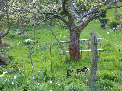 2018-04-22 Gartenimpressionen 10.jpg