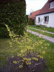 15.03.2007_017.jpg