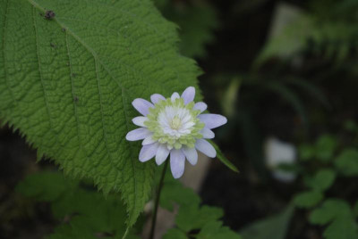 _IGP3677.JPG