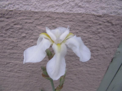 IMG_9636.JPG