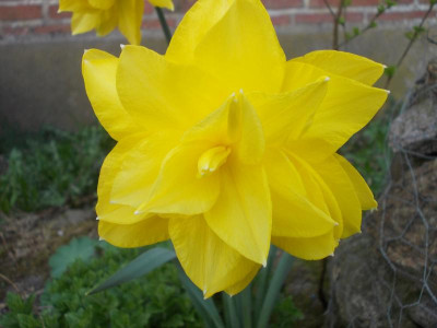 April 2018 - 3 048.JPG