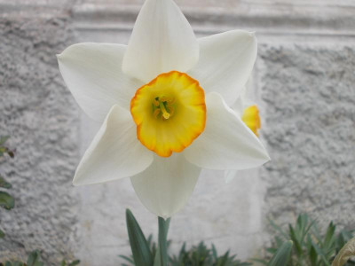 April 2018 - 3 053.JPG