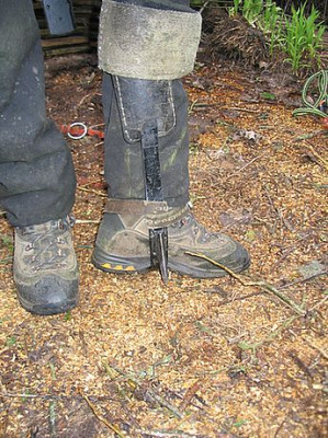 dornenbewehrt_fars_2007.jpg
