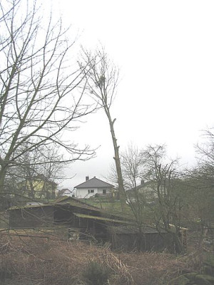 er_fallt_fars_2007.jpg
