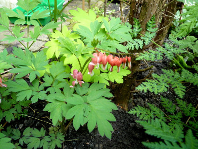 P1080874.JPG