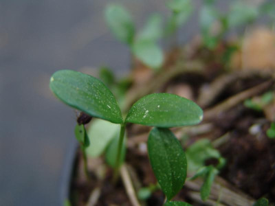 DSC02145.JPG