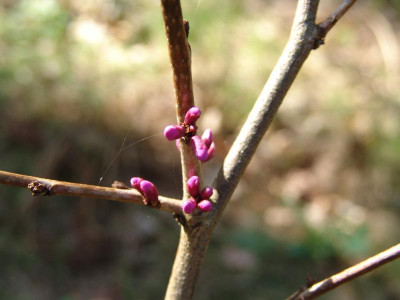 DSC02115.JPG