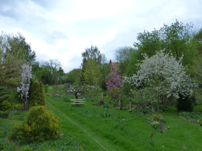 2018-04-24 Garteneinblick 3.jpg
