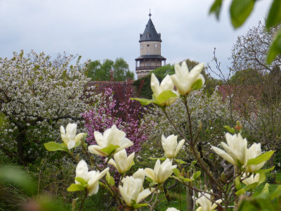 2018-04-24 Garteneinblick 2.jpg