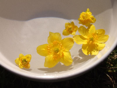 DSCF5188.JPG