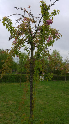 20180424_182154.jpg