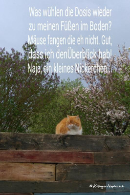 2018-04-25-12-02-15.jpg