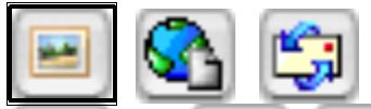 Img-Tag.jpg